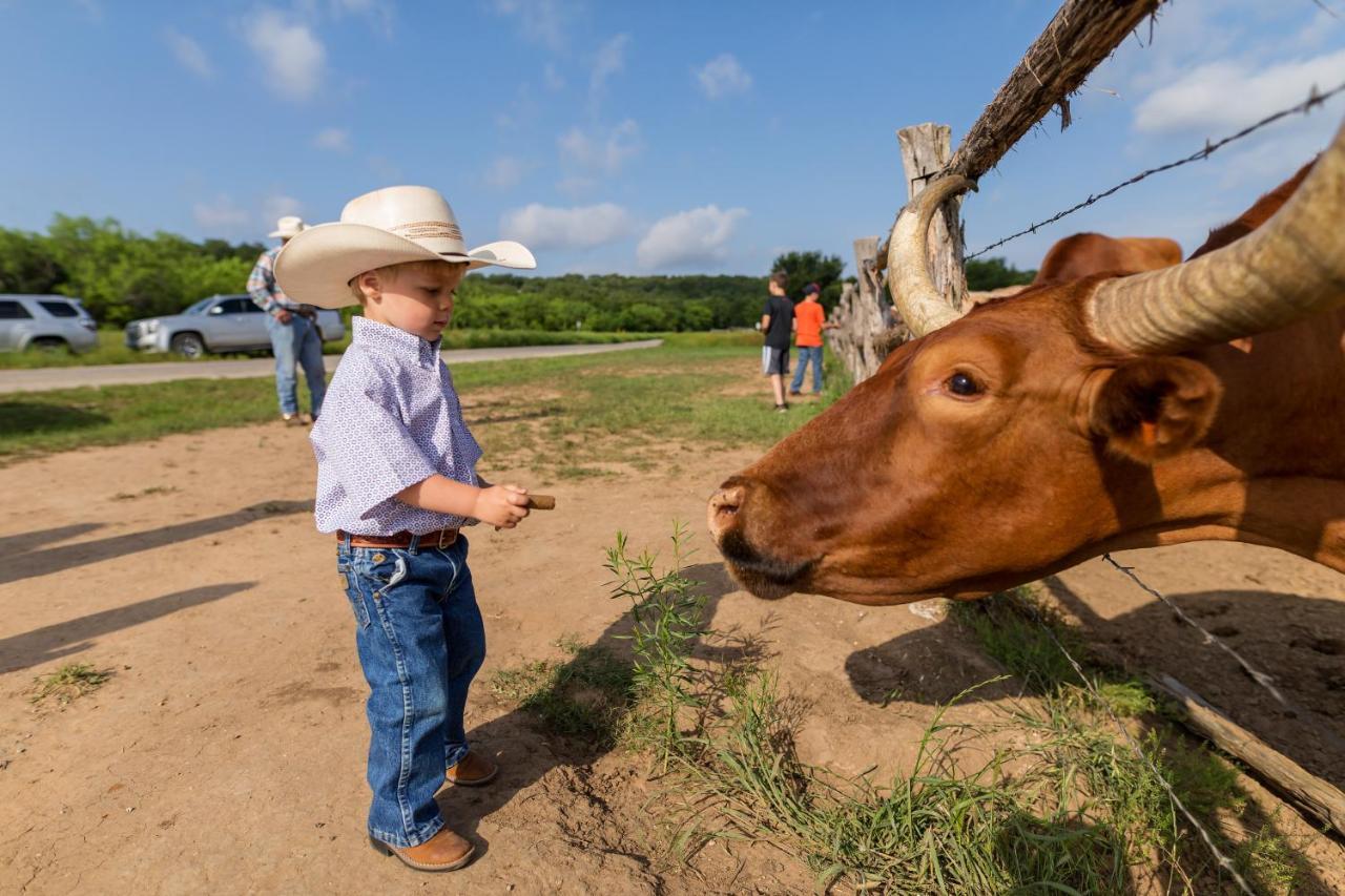 Wildcatter Ranch And Resort Graham Dış mekan fotoğraf